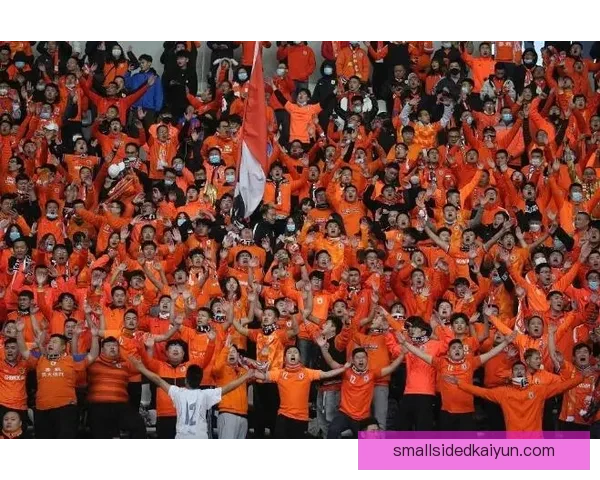 欧洲杯主题曲引发球迷热议，期待赛事氛围新提升