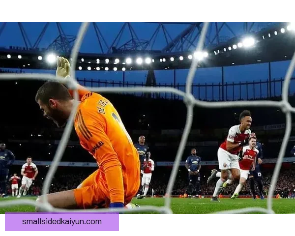 扎伊尔埃梅里中场风格独特，表现稳健，引发球迷广泛关注