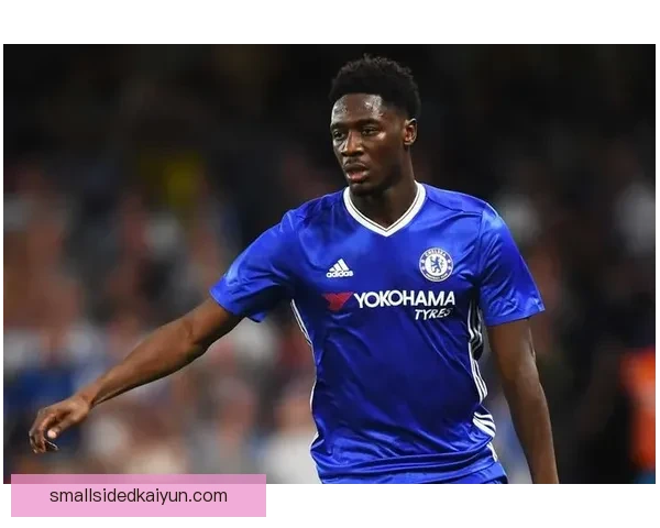 诺维奇历史升降机：持续表现稳健，重返英超的希望愈加明显